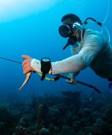 Seguridad; APAP auspicia estudio revela malas prácticas pescadores